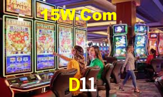 Premium Interface D11